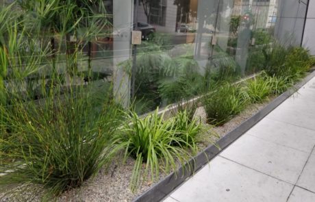 plants in media at San Francisco office building