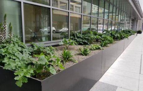 ground floor of san francisco building with plants and water recycling