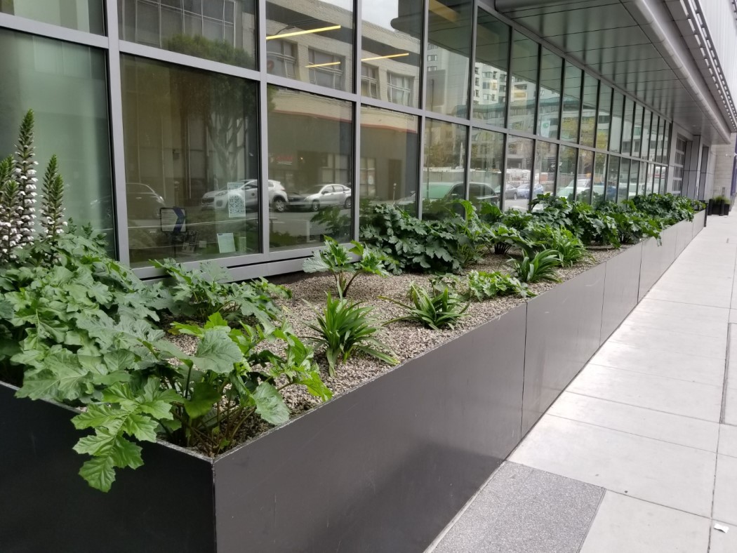ground floor of san francisco building with plants and water recycling